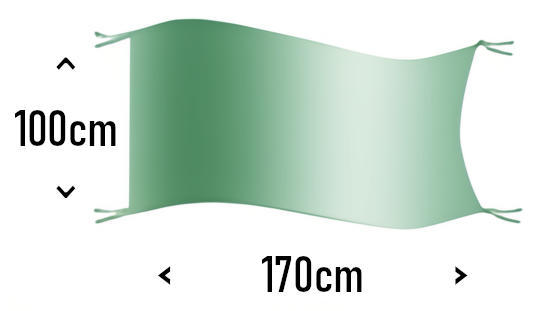 flag size